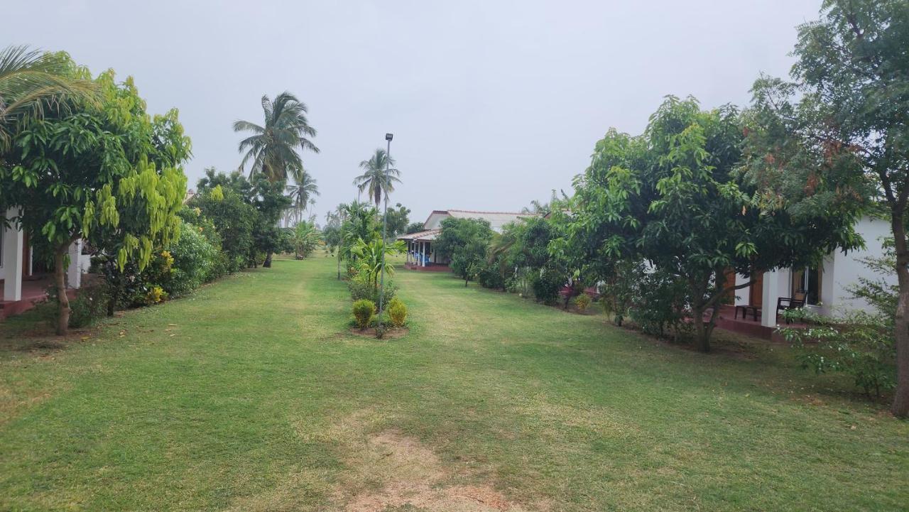 JEYs Place Nilaveli Exterior foto