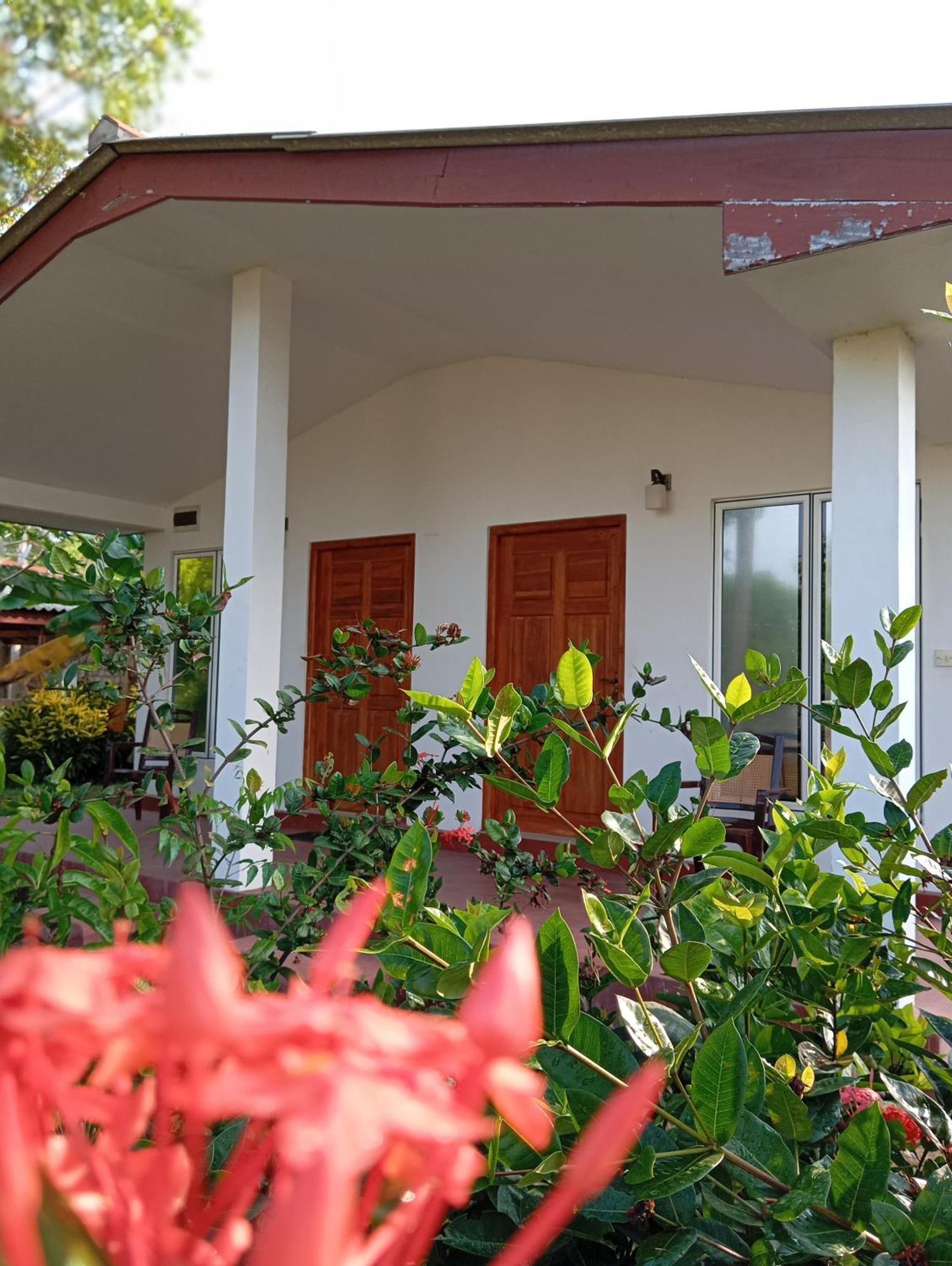 JEYs Place Nilaveli Exterior foto