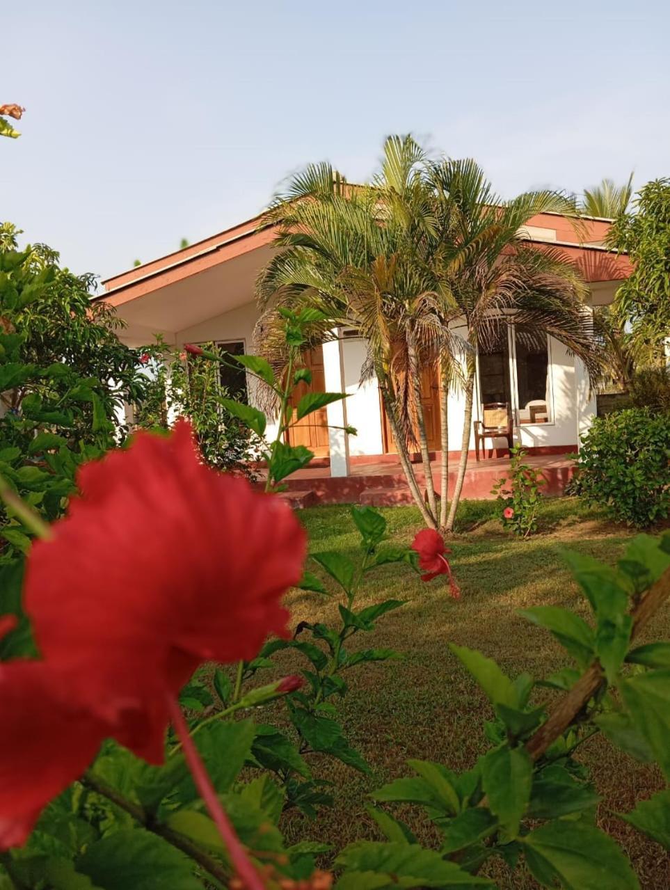 JEYs Place Nilaveli Exterior foto