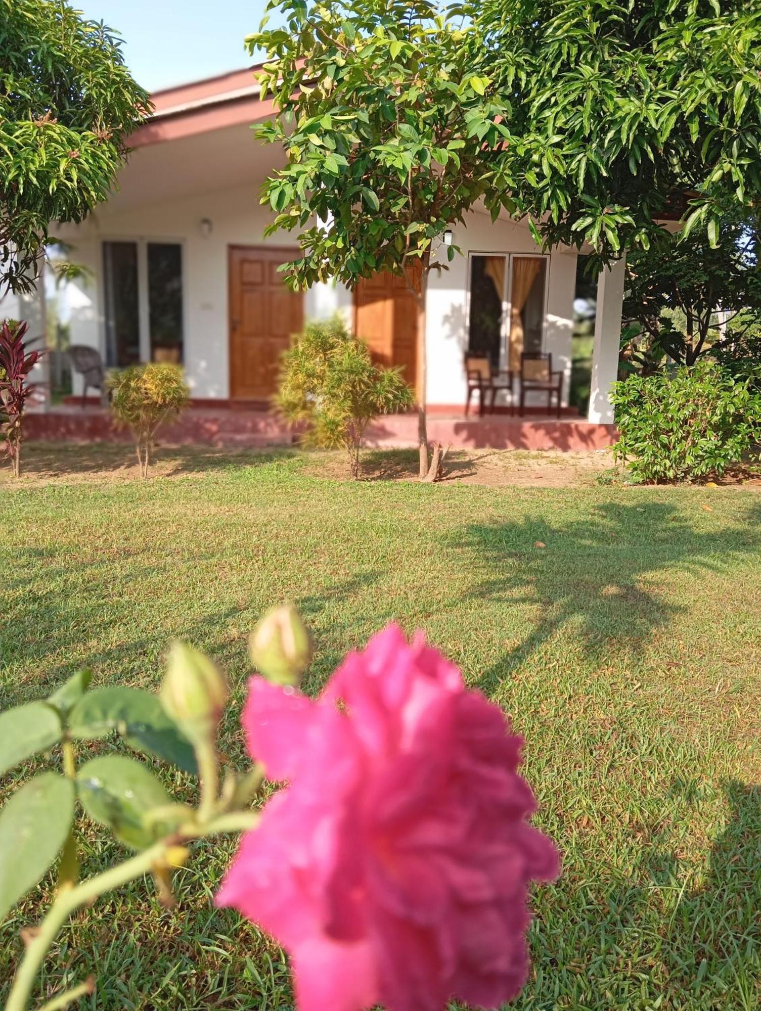 JEYs Place Nilaveli Exterior foto