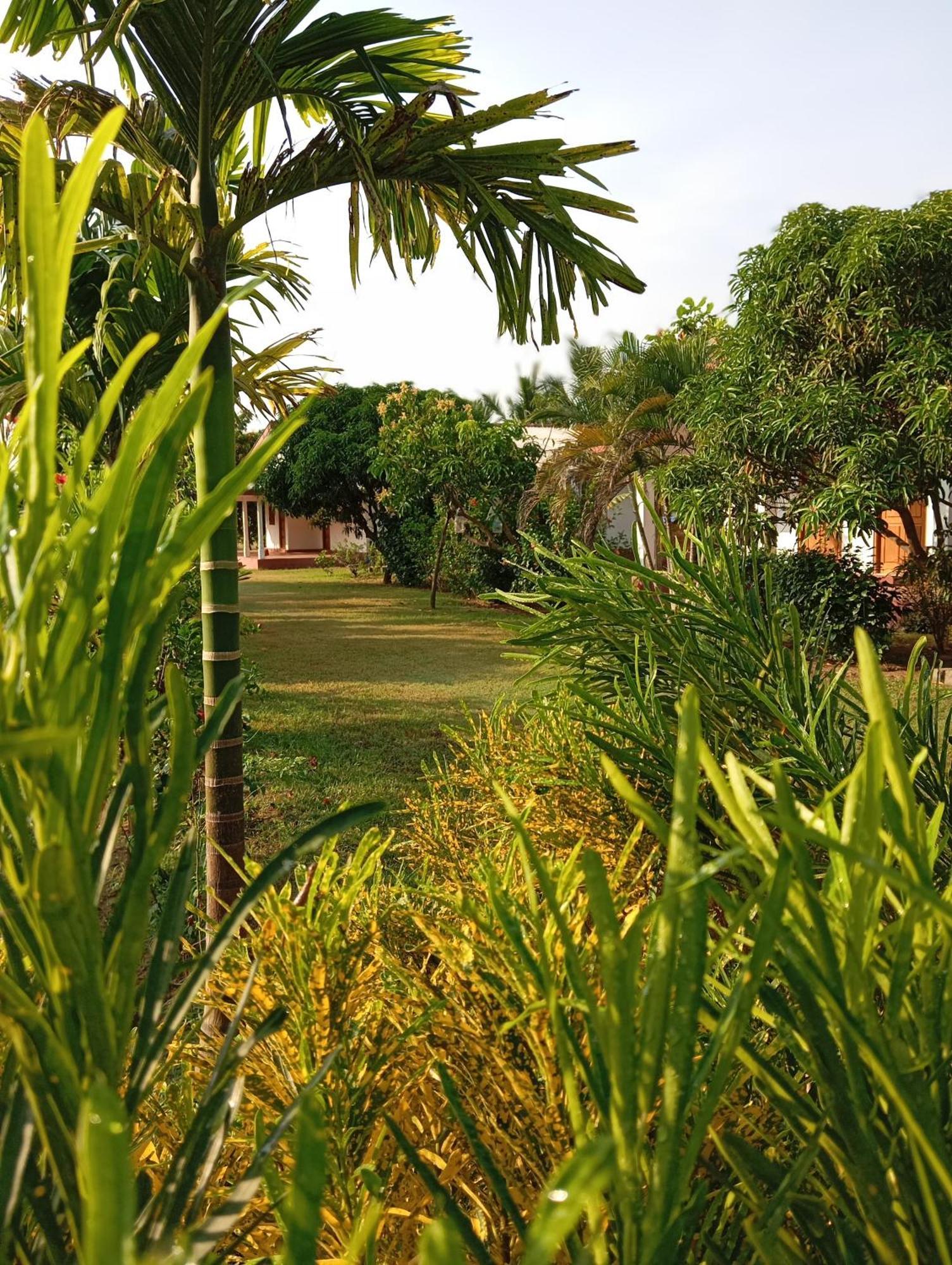 JEYs Place Nilaveli Exterior foto